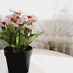 Maison d'hôtes Lucia By Gaiarooms