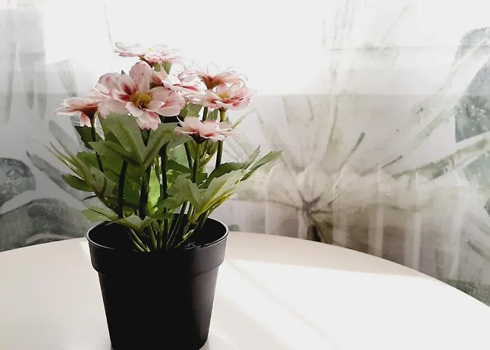 Pensión Lucia By Gaiarooms